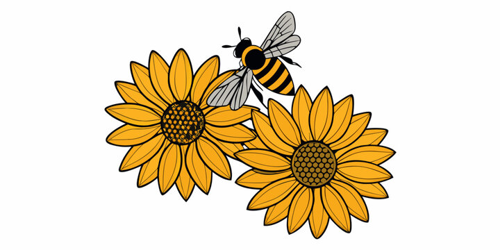 A bee is depicted hovering near two vibrant yellow sunflowers in bloom
