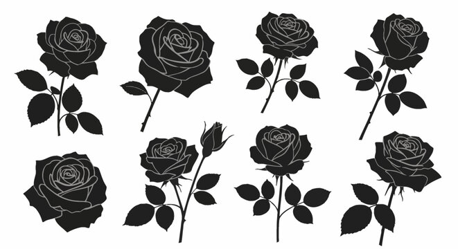 Collection of black rose silhouettes with white outlines and stems. Set of detailed floral illustrations showing roses in full bloom and rosebuds isolated on white background.