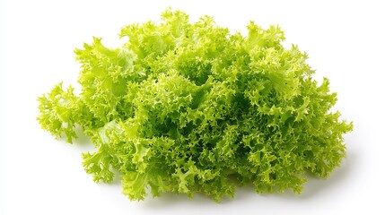 Obraz premium Bright green curly endive lettuce leaves isolated on a clean white background studio shot