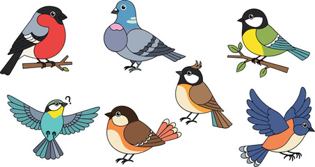 Colorful bird vector illustration set featuring sparrow pigeon robin tit and flying songbirds for nature wildlife and ornithology design © Sumon Creative