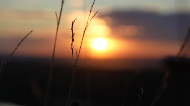 Out of focus sunset blurry skyline day to night timelapse nature time lapse