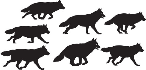 Fototapeta premium Seven black fox silhouettes walking in different positions together