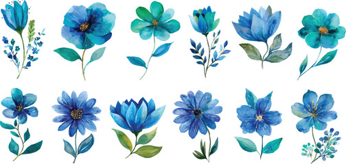 Fototapeta premium blue and white flowers