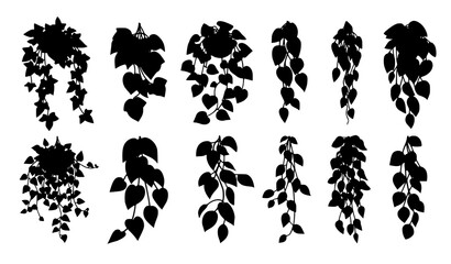 Cutout creeper and climbing plant vector set with lush green summer foliage isolated on white background © MstLaily