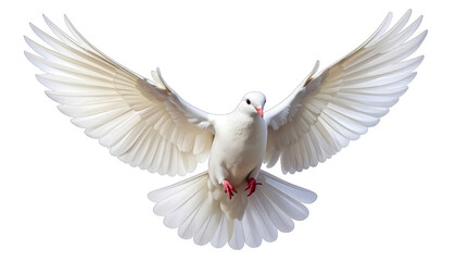 Fototapeta premium A symbolic white dove soaring through the air with its wings spread wide, representing peace and hope