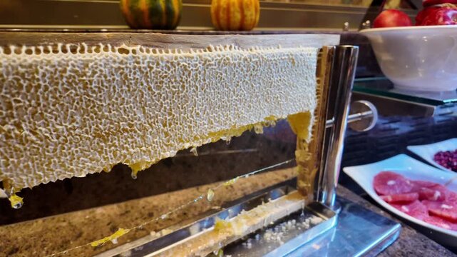 Honeycomb displayed in a kitchen during afternoon hours