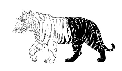 Obraz premium Decorative Tiger Walking Silhouette and Outline Vector Design
