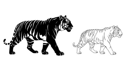 Fototapeta premium Tiger Walking Silhouette and Outline Wildlife Vector Illustration