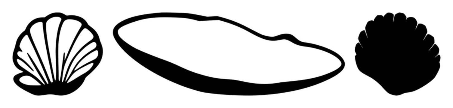 Clam shell silhouette set with single black outline form featuring marine life, beach, water, shell illustration with sea and ocean