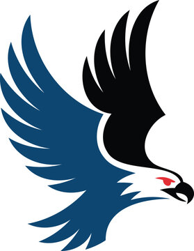 Blue and black eagle bird flying with red eye isolated on white background