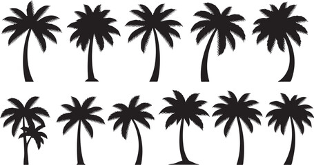 Fototapeta premium Black Silhouettes of Palm Trees on White Background