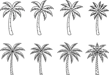 Fototapeta premium Set of hand drawn palm tree sketches in black and white with varying styles and details