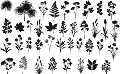 Fototapeta premium Large collection of botanical plant silhouettes vector illustration various flowers leaves herbs isolated on white background nature design elements
