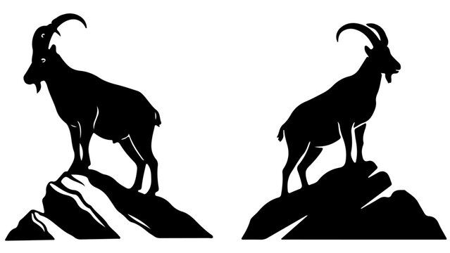 Pair of mountain ibex silhouettes standing on rocks, isolated black and white design.