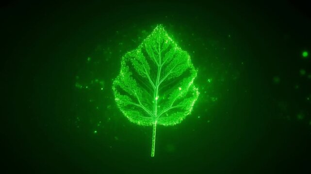 A fresh green organic leaf captured in a macro close-up isolated on a dark black background