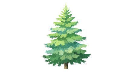 Obraz premium Vibrant Green Pine Tree Isolated on White Background