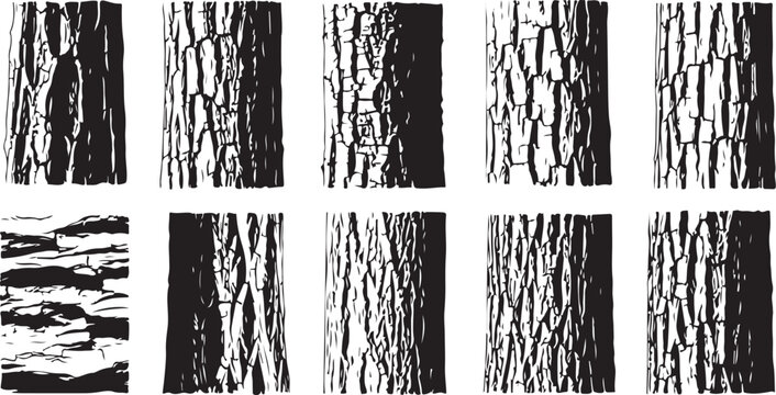 Black and white tree bark texture illustrations