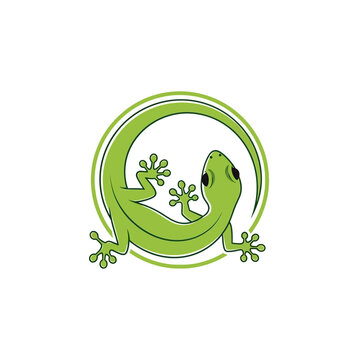 Green Gecko Lizard Inside Circle Logo Design.