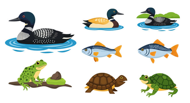 Wildlife Collection: Ducks, Fish, Frog, and Turtle on White Background
