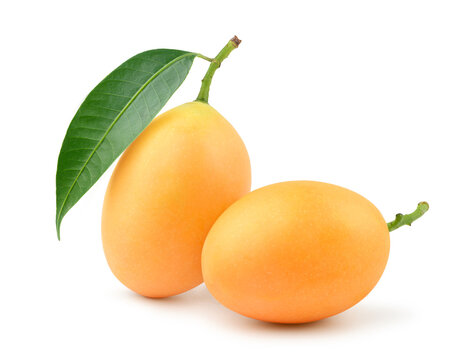 Mariam plum isolated on white.