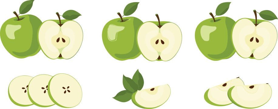 Green apple set with whole fruits and sliced pieces, fresh healthy food vector illustration isolated for nutrition, organic farming, and natural diet design