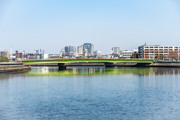 Fototapeta premium 神奈川県を流れる鶴見川の風景
