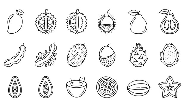 Minimal Exotic Tropical Fruits Thin Line Icon Set for Web and App UI Outline Vector Collection