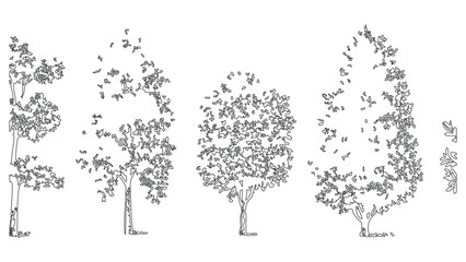 Fototapeta premium Set of deciduous tree silhouettes for landscape design and architectural project rendering.