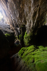 Fototapeta premium waterfall in the forest