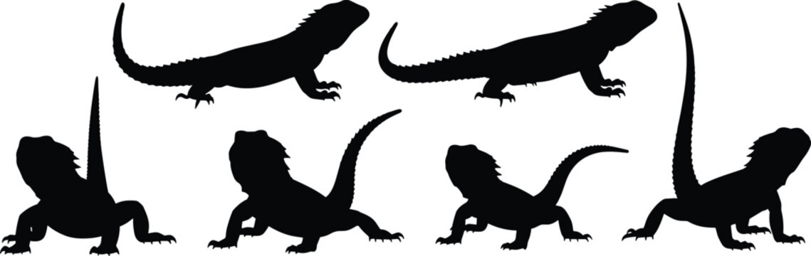 Uromastyx lizard silhouette set with various poses. Spiny tail desert reptile collection isolated for wildlife, animal, and nature design use.