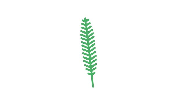 Green plant leaf vector illustration on white background for design animated shape