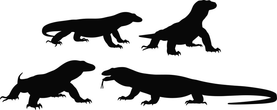 Komodo dragon silhouette vector set. Large monitor lizard collection with powerful bodies and long tails. Black reptile illustrations for wildlife design, nature and zoo themes.