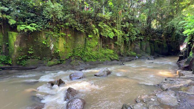Tropical river in jungle near Kanto Lampo Waterfall Bali Indonesia