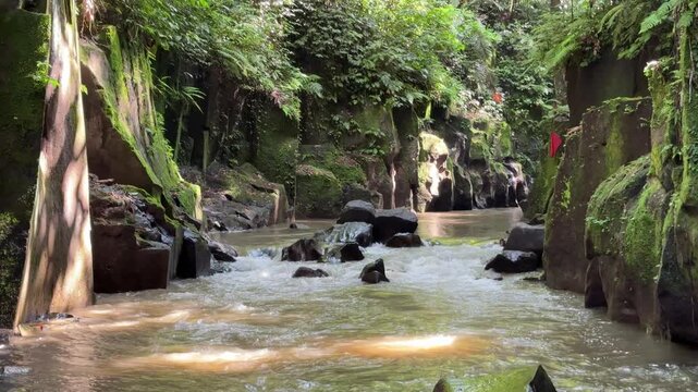 Tropical river in jungle near Kanto Lampo Waterfall Bali Indonesia