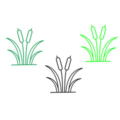 Cattail plant and reed vector icon set for wetland and nature conservation concepts © Beauty