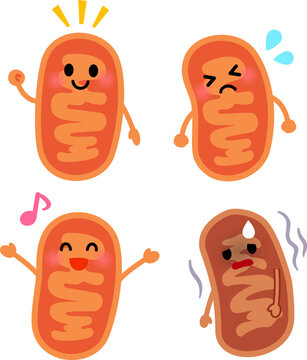 ミトコンドリアのキャラクターのイラストセット