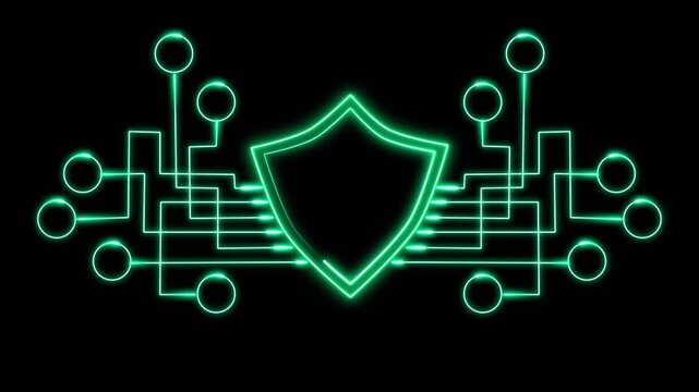 Digital Security Shield with Circuitry