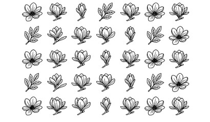 Modern magnolia flower outline illustration with blooming floral elements in clean minimal vector style © Nahid