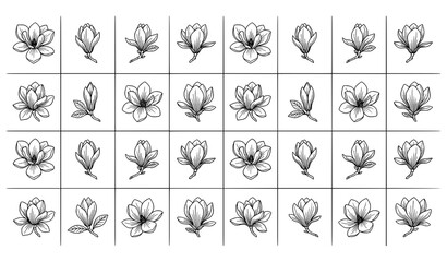 Magnolia flower sketch line art with blossoms buds and leaves minimal black and white vector design © Nahid