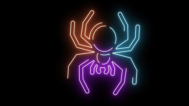 Neon spider outline with colorful glow on black background insect arachnid