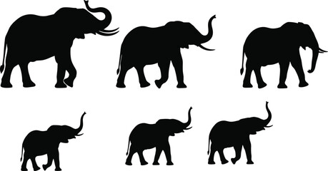 Fototapeta premium Elephant silhouettes collection, wildlife animals, African safari concept, large mammals walking, nature illustration, black isolated shapes, jungle fauna design