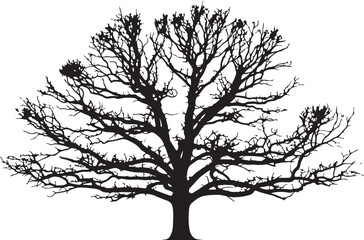 Obraz premium Bare tree silhouette, black tree icon, tree without leaves, minimalist tree vector