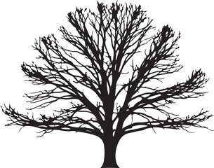 Obraz premium Bare tree silhouette, black tree icon, winter tree vector, minimalist tree design