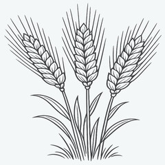 Fototapeta premium Print Wheat Rye Barley Ears Line Vector, Cereal Agriculture Field Outline Icons Editable Stroke on White Background