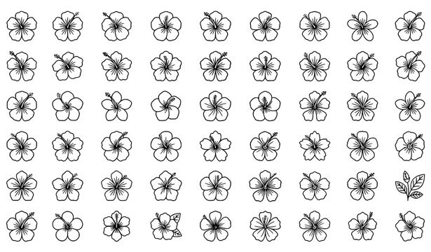 Modern hibiscus flower outline illustration set with tropical floral variations minimal black and white vector