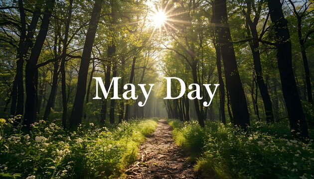 A serene forest path on a sunny May Day with lush greenery and wildflowers