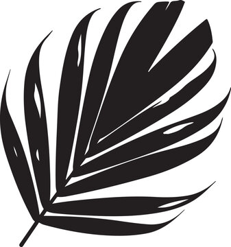 Black palm leaf, tropical vector, palm tree silhouette, exotic foliage, palm leaf, palm tree, tropical, foliage, leaf, plant, exotic, silhouette, vector, black, illustration, graphic, icon, design ele
