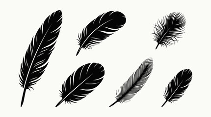 Naklejka premium A collection of various black bird feathers, showcasing different sizes and textures against a clean white background.