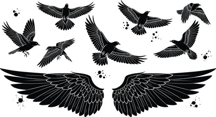 Naklejka premium Flying bird silhouettes vector set, spread wings illustration collection, crow raven flight poses, black wing shapes, tattoo design elements isolated bundle