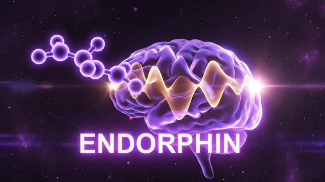 Conceptual visualization of endorphin molecules stimulating brain activity, highlighting the scientific concept of well-being, happiness, and neural health